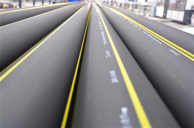 ȼ?x)䓽zW(wng)Ǽϣϩ(f)Ϲ